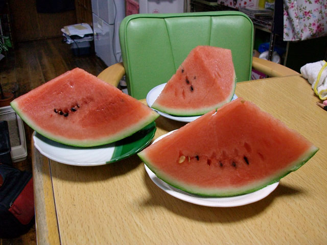 henporai.net_59.jpg, SIZE:640x480(66.3KB)