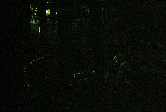 henporai.net_199.jpg, SIZE:540x365(44.8KB) henporai.net_199.jpg, SIZE:540x365(44.8KB)