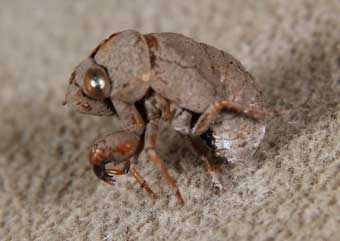 226.jpg, SIZE:340x241(11.2KB) 226.jpg, SIZE:340x241(11.2KB)