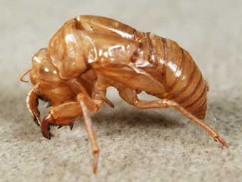 227.jpg, SIZE:340x255(10.8KB) 227.jpg, SIZE:340x255(10.8KB)