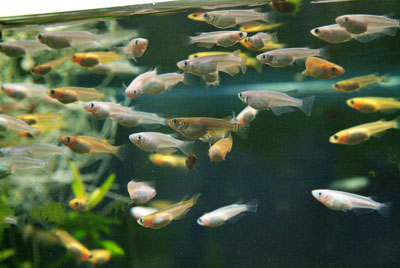 henporai.net_176.jpg, SIZE:400x268(29.3KB) henporai.net_176.jpg, SIZE:400x268(29.3KB)