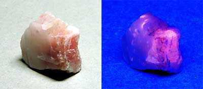 henporai.net_23.jpg, SIZE:400x176(7.7KB) henporai.net_23.jpg, SIZE:400x176(7.7KB)