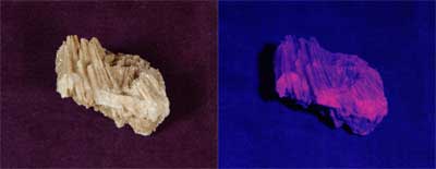 henporai.net_25.jpg, SIZE:400x155(5.4KB) henporai.net_25.jpg, SIZE:400x155(5.4KB)