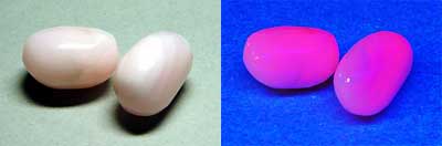 henporai.net_26.jpg, SIZE:400x132(5.3KB) henporai.net_26.jpg, SIZE:400x132(5.3KB)