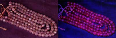 henporai.net_29.jpg, SIZE:400x131(9.5KB) henporai.net_29.jpg, SIZE:400x131(9.5KB)