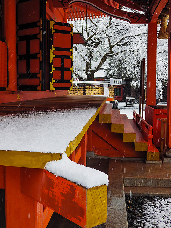 浅間大社雪景色7